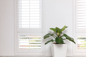 Plantation Shutters