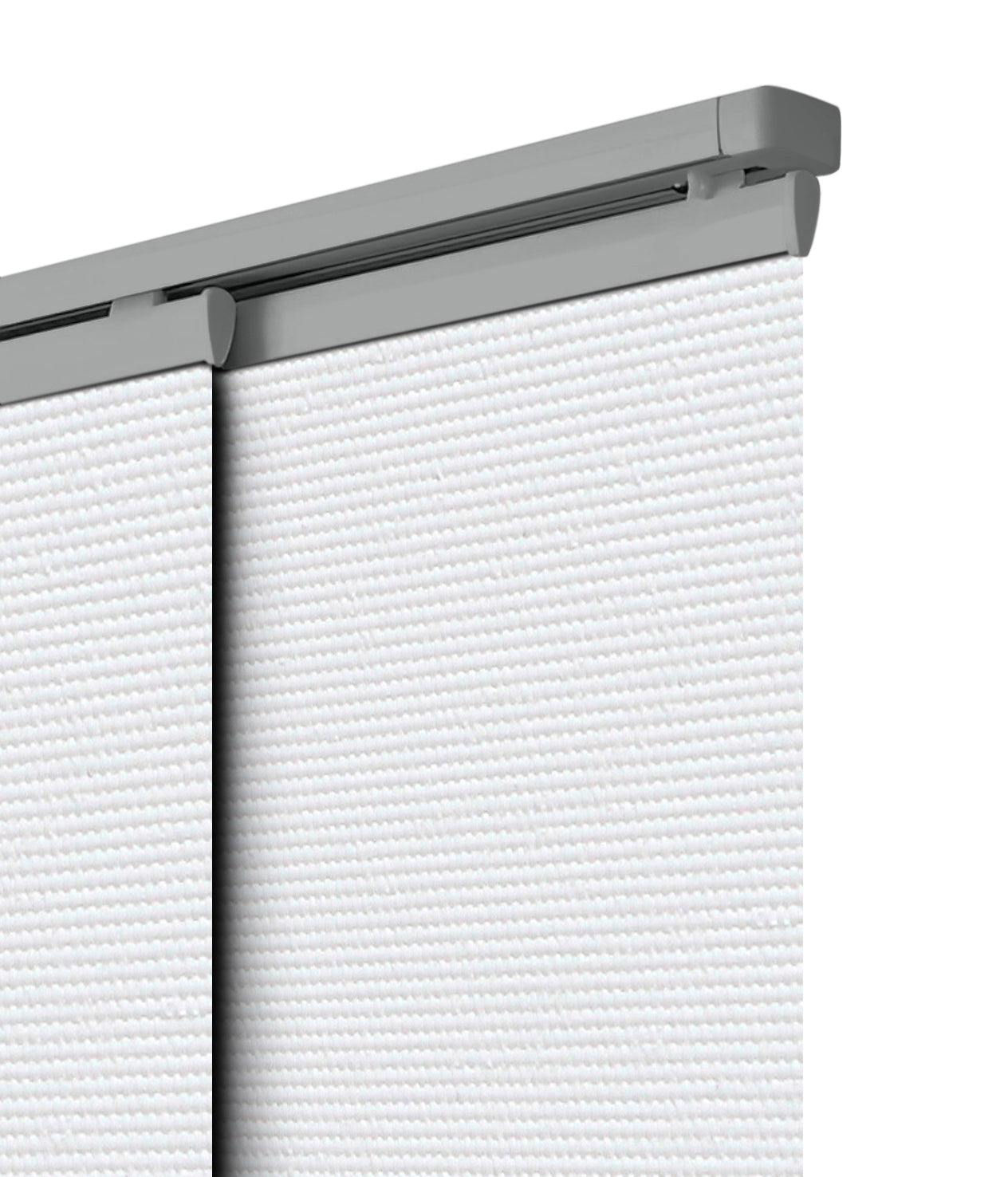 Flora Blockout Fabric featured image