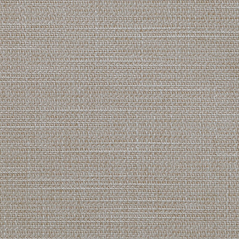Linesque-Raffia-Fabric.jpg